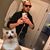 Charlie Rodriguez's profile image
