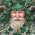 William R Fisher's profile image