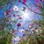 Wendy Wright Lee's profile image