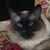 Becky Deming's profile image