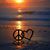 Kim Campbell Szanyi's profile image