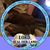 Karen Yankovic's profile image