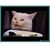Alphonso Martinez's profile image