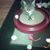 Shari Pitzer's profile image