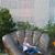 Linda Colburn Steinger's profile image