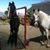 Alvaro Guasch's profile image