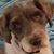 Teresa Bailey's profile image