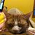 Nicole Preble Allen's profile image