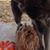 Jim Pierce's profile image