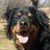 Glenda Russell's profile image
