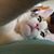 Donna Van Dis's profile image