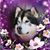 Linda Levine Katlarz's profile image