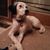Joyce Sedlak's profile image