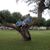 Rebecca Harvey Manuel's profile image