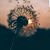 MeVale Noel Ruiz's profile image