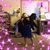 Terri Shockey Bowen's profile image
