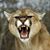 Martin Peeples's profile image