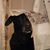 Judi Wort Pedersen's profile image