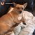 Lizabeth Escott Anthony's profile image