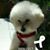 Josefina Castillo-taylor's profile image