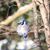 Tracy Smith Pyles's profile image