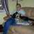 Dotty Dick Fern's profile image