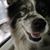 Aaron Braunworth's profile image