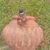 Marie Petrof Fernandez's profile image