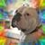 Gerri L Evans's profile image