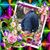 David Lloyd Sr's profile image