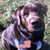 Jim Wiley's profile image