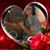 Lynn Birney's profile image