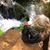Lisa Lassell Pozzi's profile image