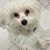 Berenice Vazquez's profile image