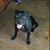 Chris Hagerty's profile image