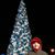 Caler Bernard's profile image