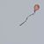 Meghann M. G. Beauchamp's profile image