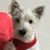 Sally Arnold's profile image