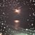 Angel Ryan Gray's profile image
