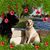 Tracie Laskie-Helmick's profile image