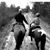 Kari Burtness Michels's profile image