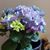 Louren Khanty's profile image