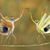 Sherrie Lawson's profile image