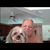 Dugan Taylor's profile image