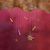 Heather Rooney's profile image