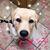 Linda Huffman's profile image