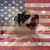 Darcy Hess's profile image