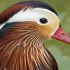 Glenn T.'s profile image