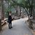 Allison Yan's profile image