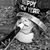 Janis Dougherty's profile image